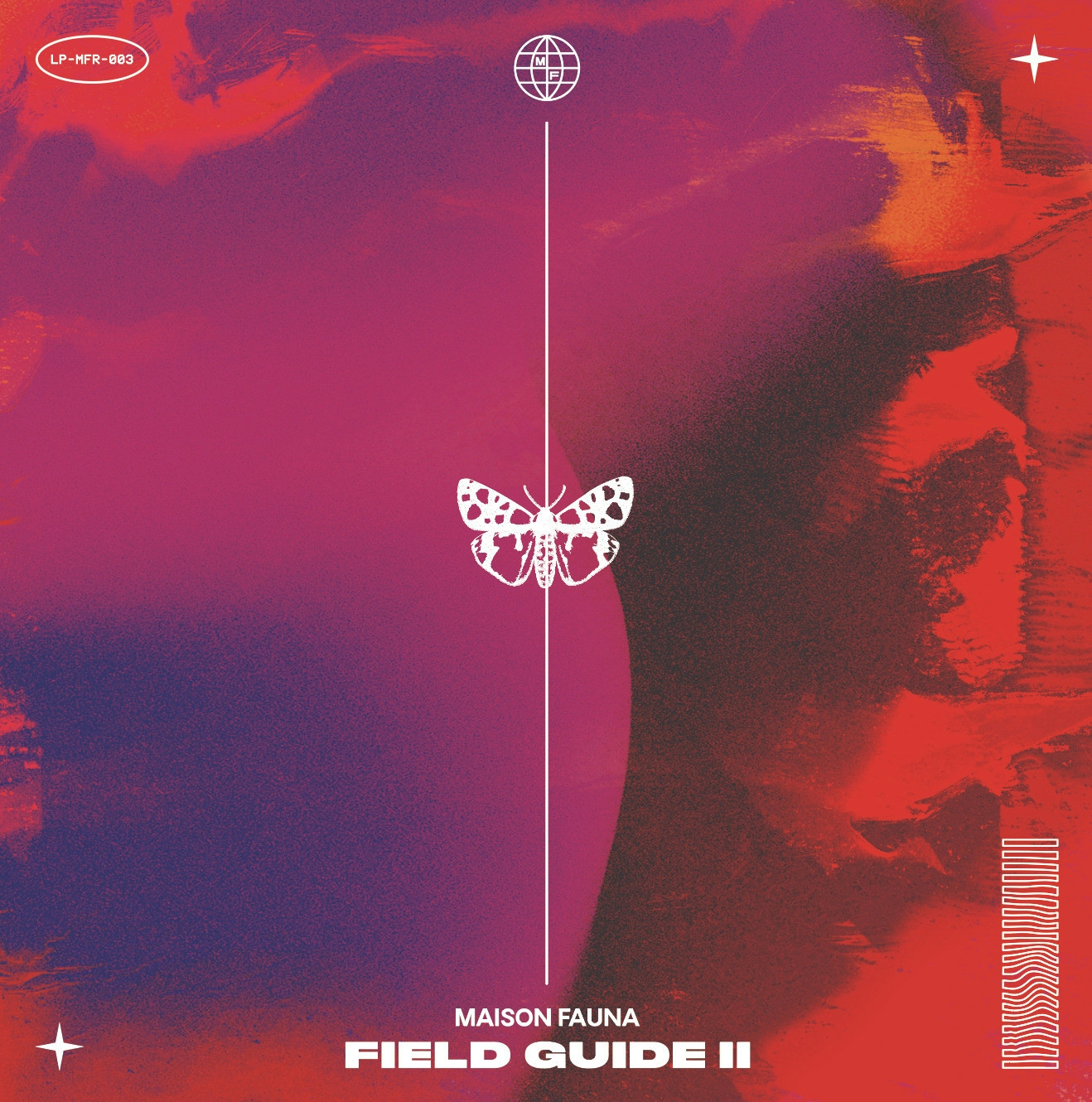 Album artwork for Maison Fauna Field Guide II by Various Artists