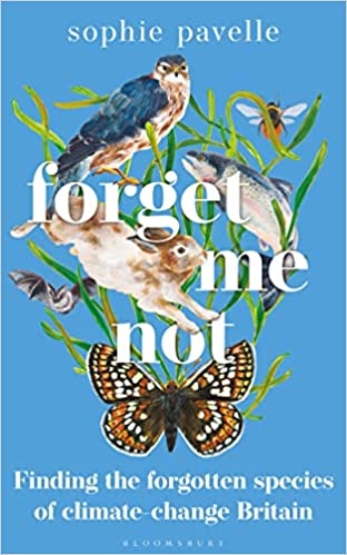 Album artwork for Forget Me Not: Finding the forgotten species of climate-change Britain by Sophie Pavelle