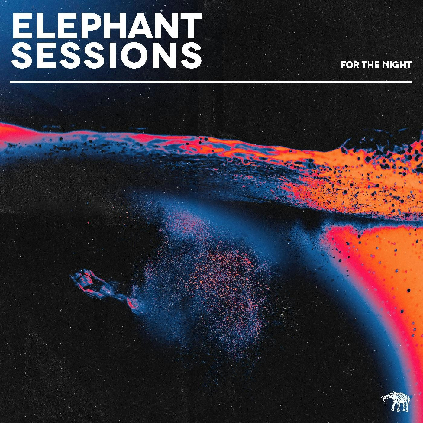 Album artwork for For The Night by Elephant Sessions