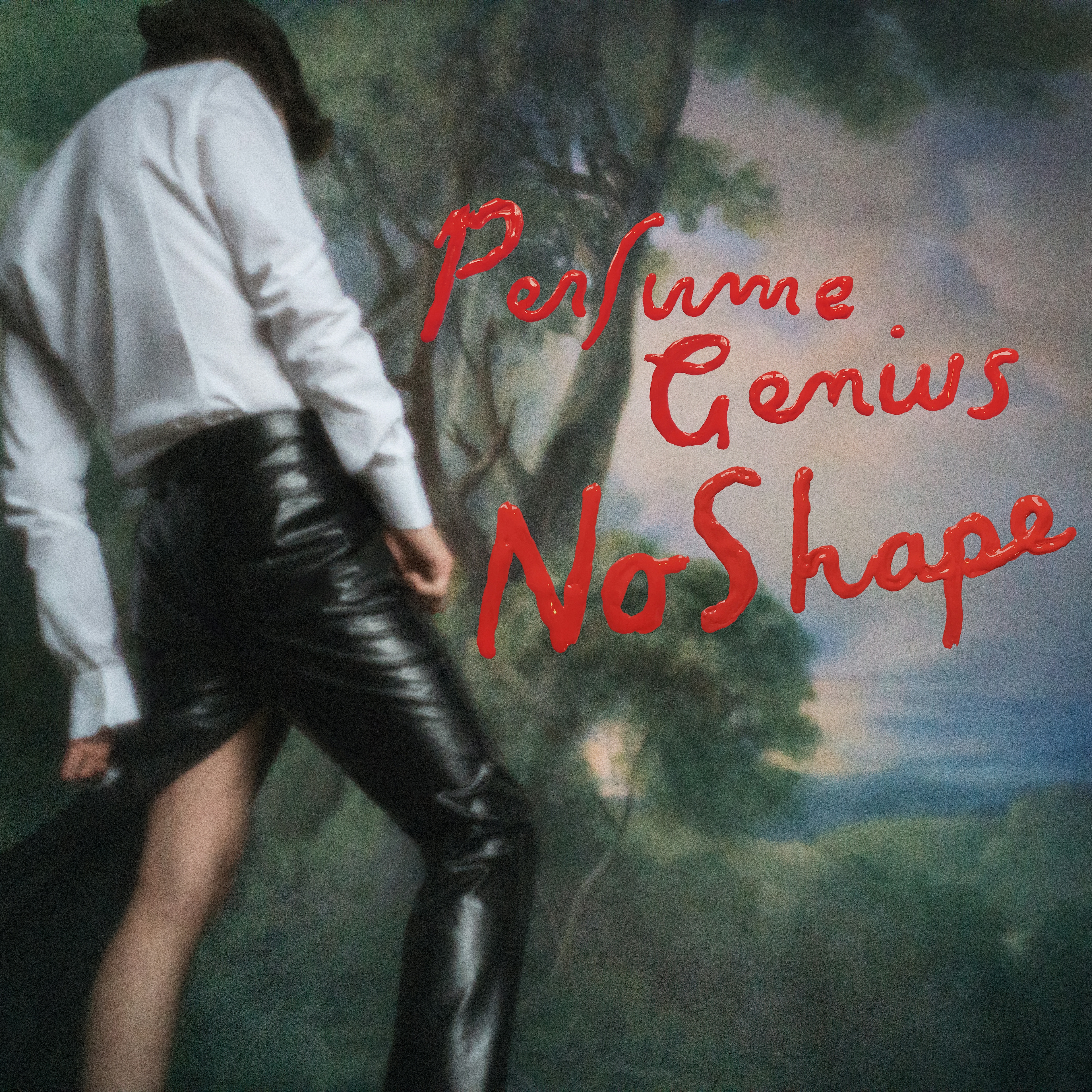 Album artwork for Album artwork for No Shape by Perfume Genius by No Shape - Perfume Genius