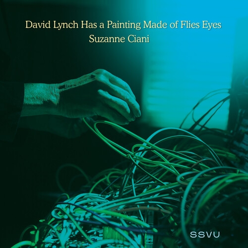 Album artwork for Album artwork for David Lynch Has a Painting Made of Flies Eyes / Suzanne Ciani by Ssvu by David Lynch Has a Painting Made of Flies Eyes / Suzanne Ciani - Ssvu
