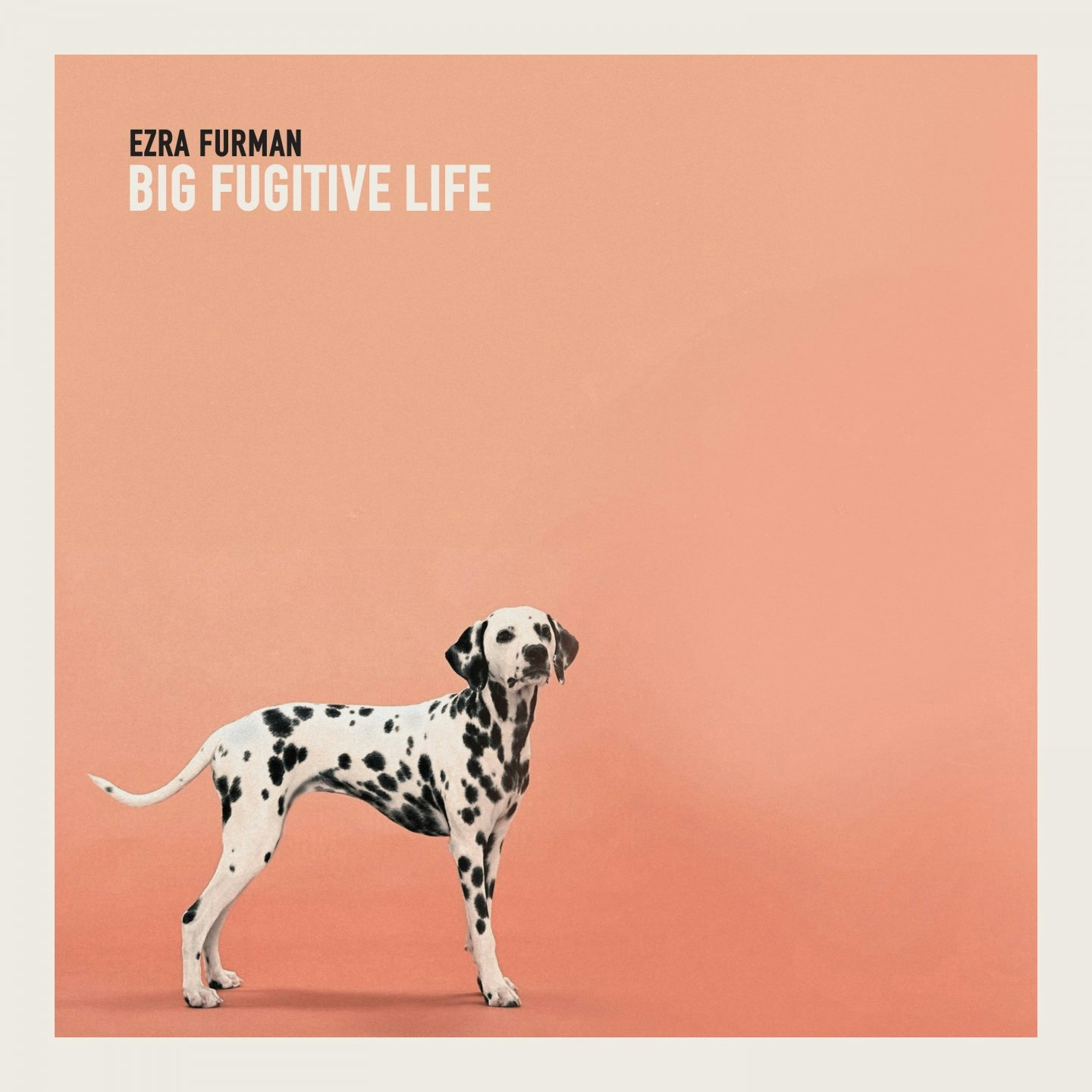Album artwork for Album artwork for Big Fugitive Life by Ezra Furman by Big Fugitive Life - Ezra Furman