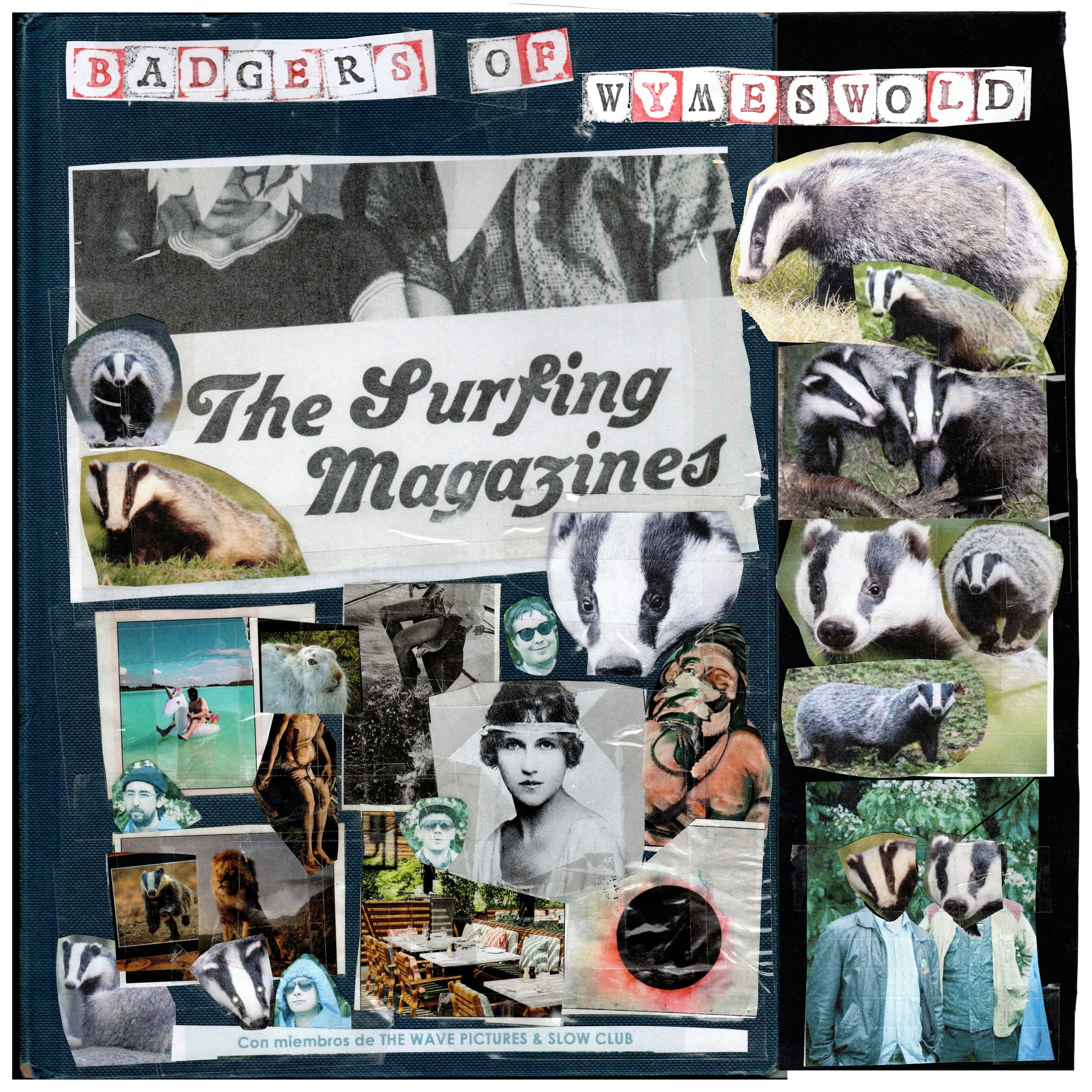 Album artwork for Badgers of Wymeswold by The Surfing Magazines