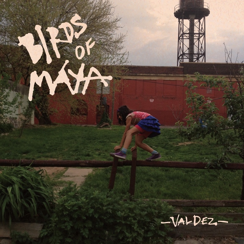 Album artwork for Album artwork for Valdez by Birds Of Maya by Valdez - Birds Of Maya