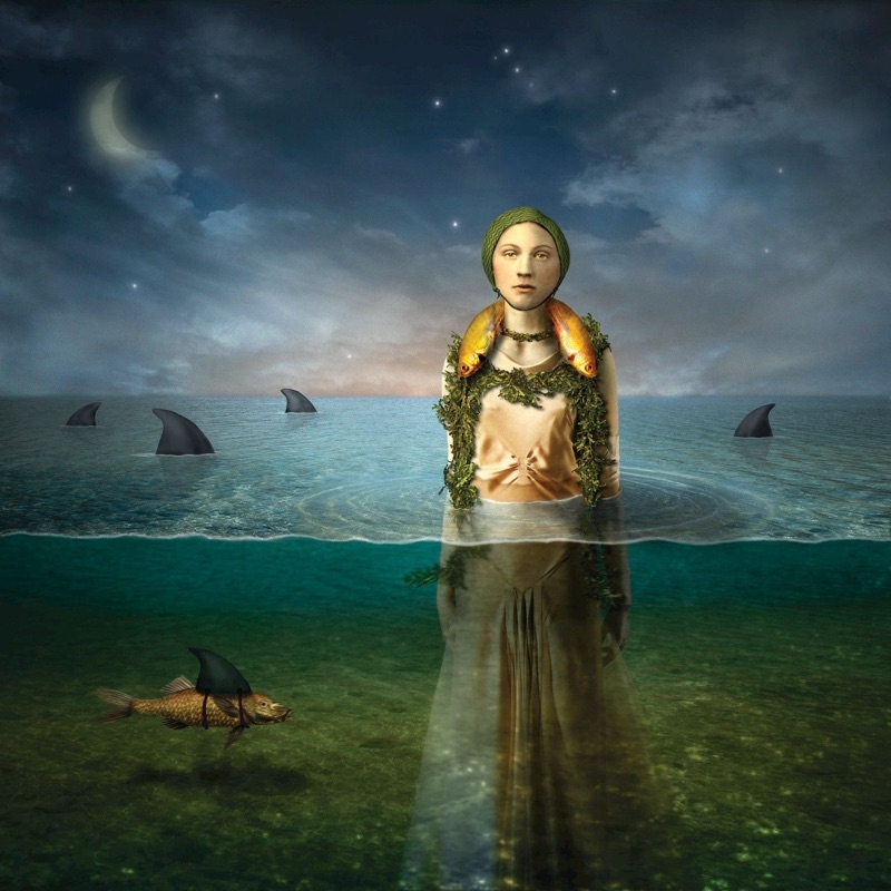 Album artwork for Album artwork for Found in the Flood by The Bled by Found in the Flood - The Bled