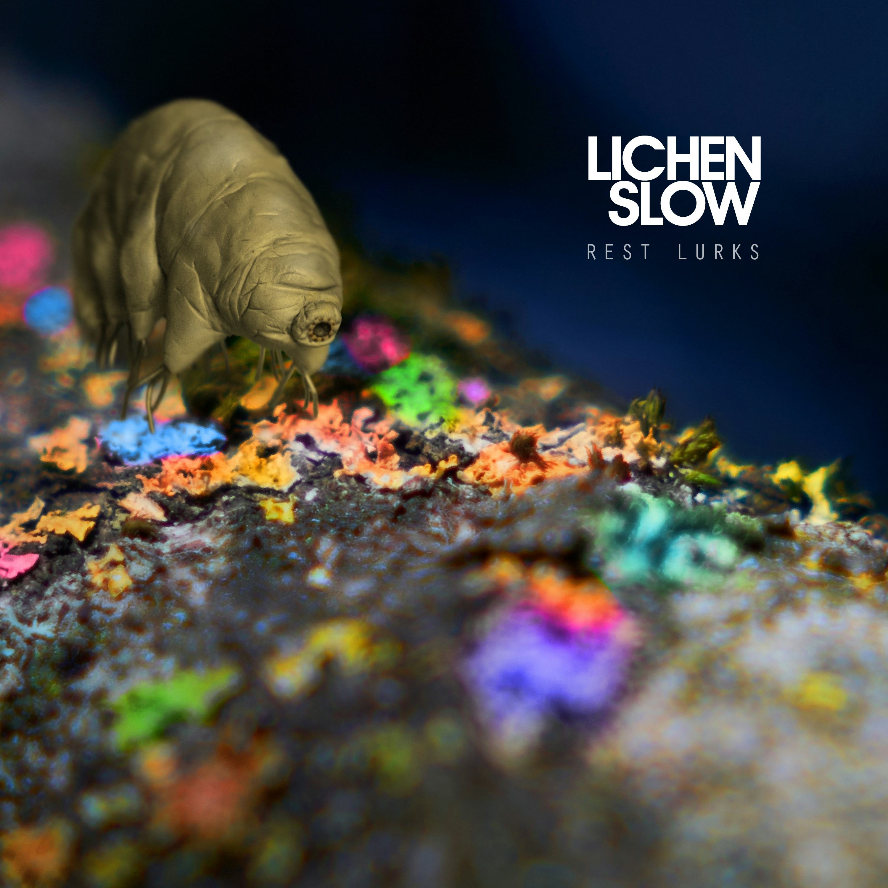 Album artwork for Rest Lurks by Lichen Slow