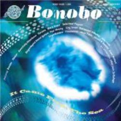 Album artwork for Solid Steel Presents Bonobo: It Came From The Sea by Bonobo