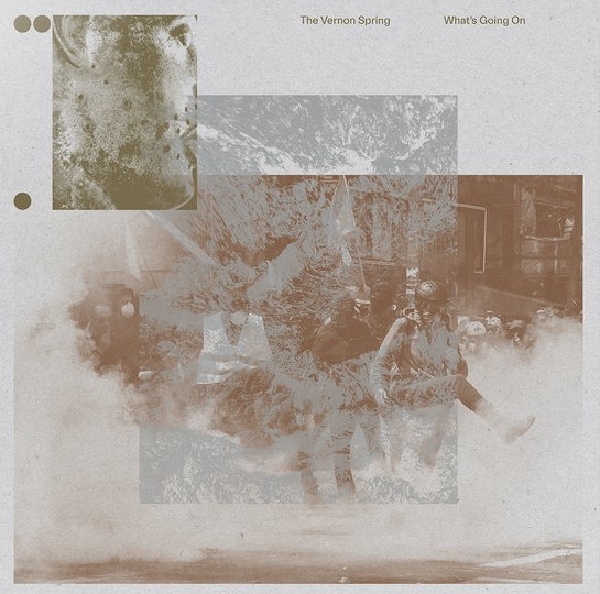 Album artwork for What's Going On by The Vernon Spring
