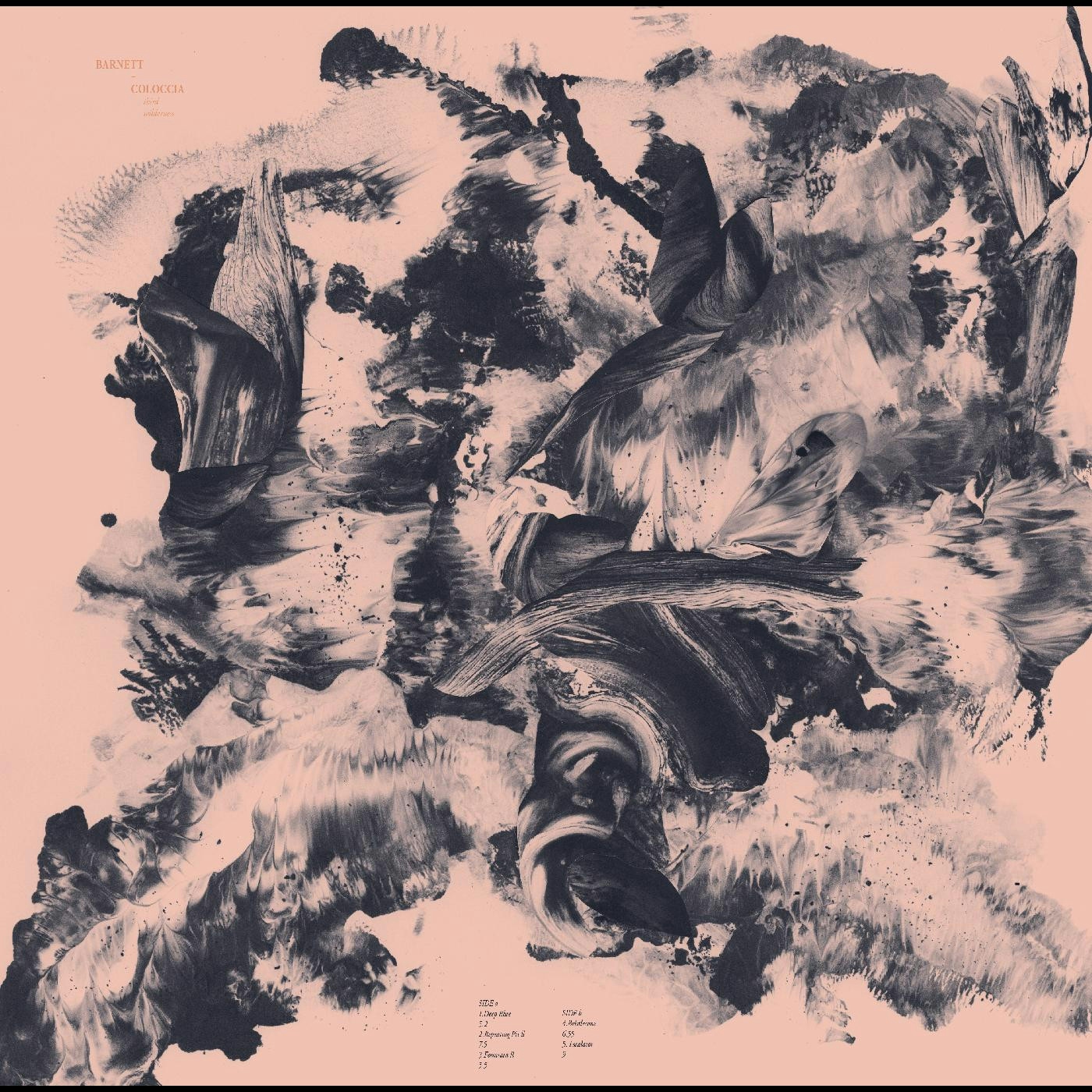 Album artwork for Album artwork for Third Wilderness by Barnett And Coloccia by Third Wilderness - Barnett And Coloccia