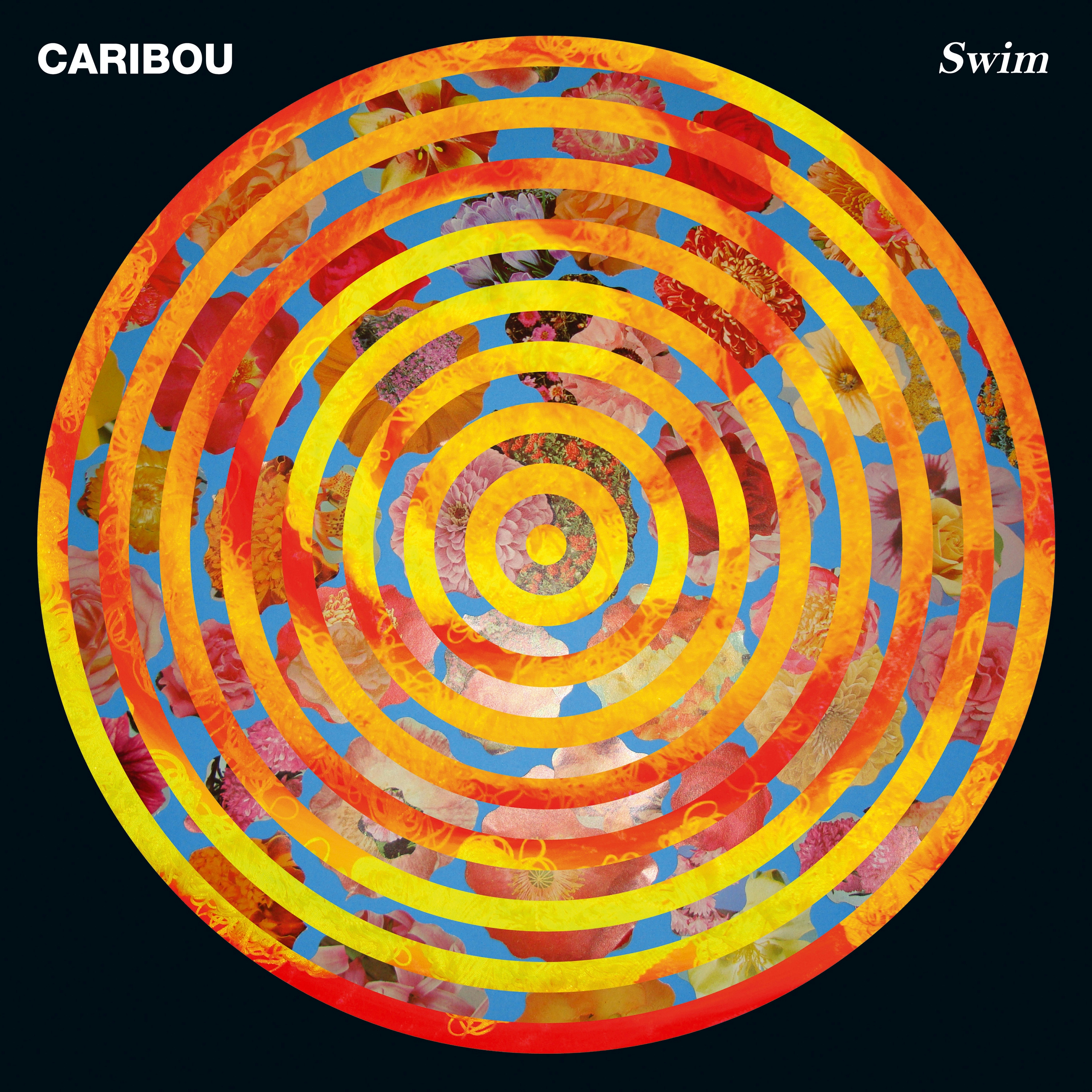 Album artwork for Album artwork for Swim by Caribou by Swim - Caribou