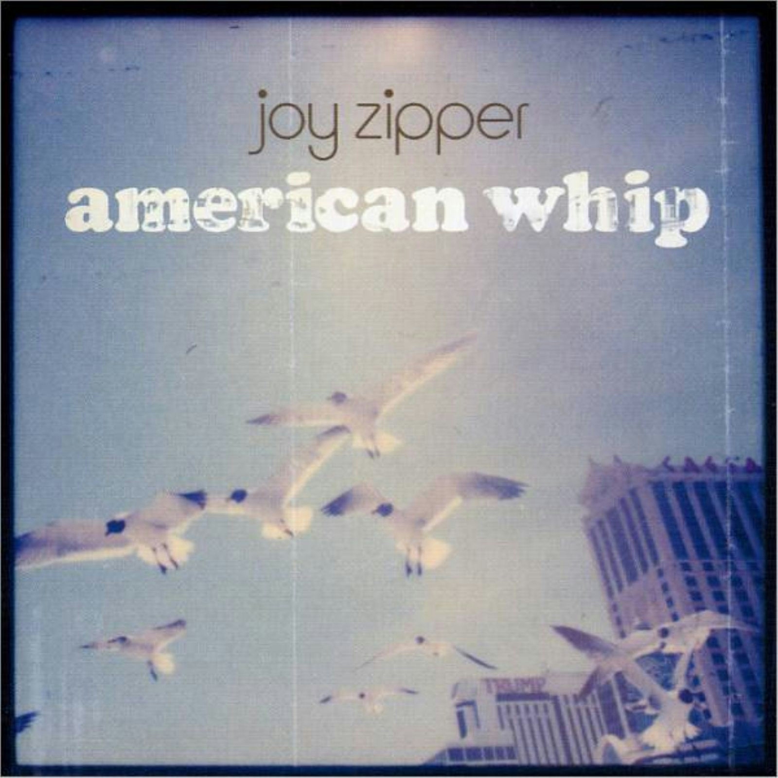 Album artwork for Album artwork for American Whip (Reissue) by Joy Zipper by American Whip (Reissue) - Joy Zipper