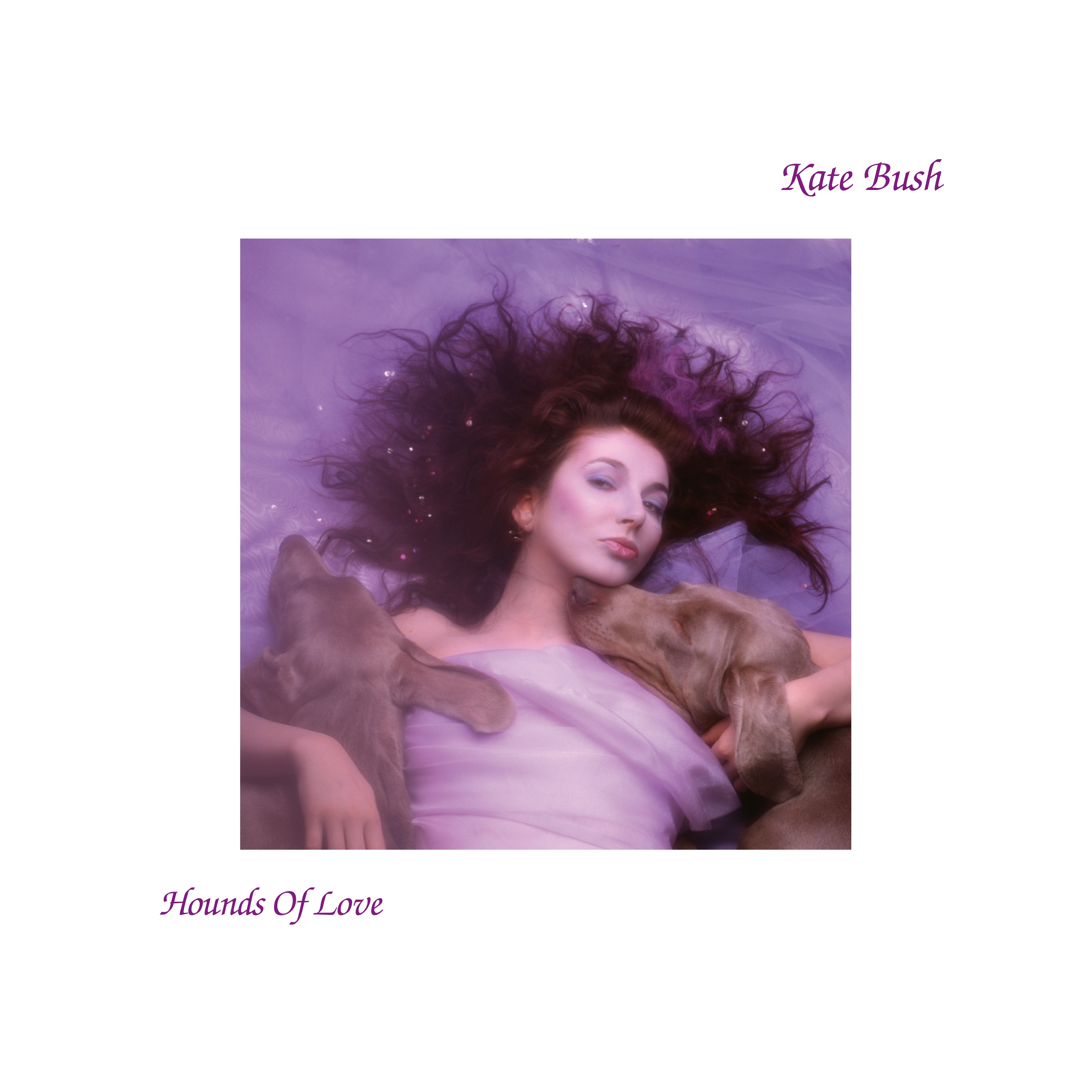 Album artwork for Album artwork for Hounds of Love by Kate Bush by Hounds of Love - Kate Bush