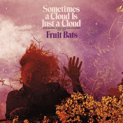Album artwork for Sometimes a Cloud Is Just a Cloud: Slow Growers, Sleeper Hits and Lost Songs (2001–2021) by Fruit Bats