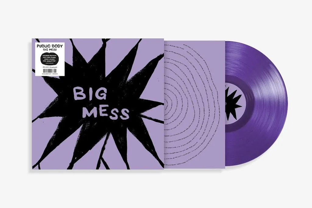 Album artwork for Big Mess by Public Body