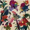 Album artwork for Paracosm by Washed Out