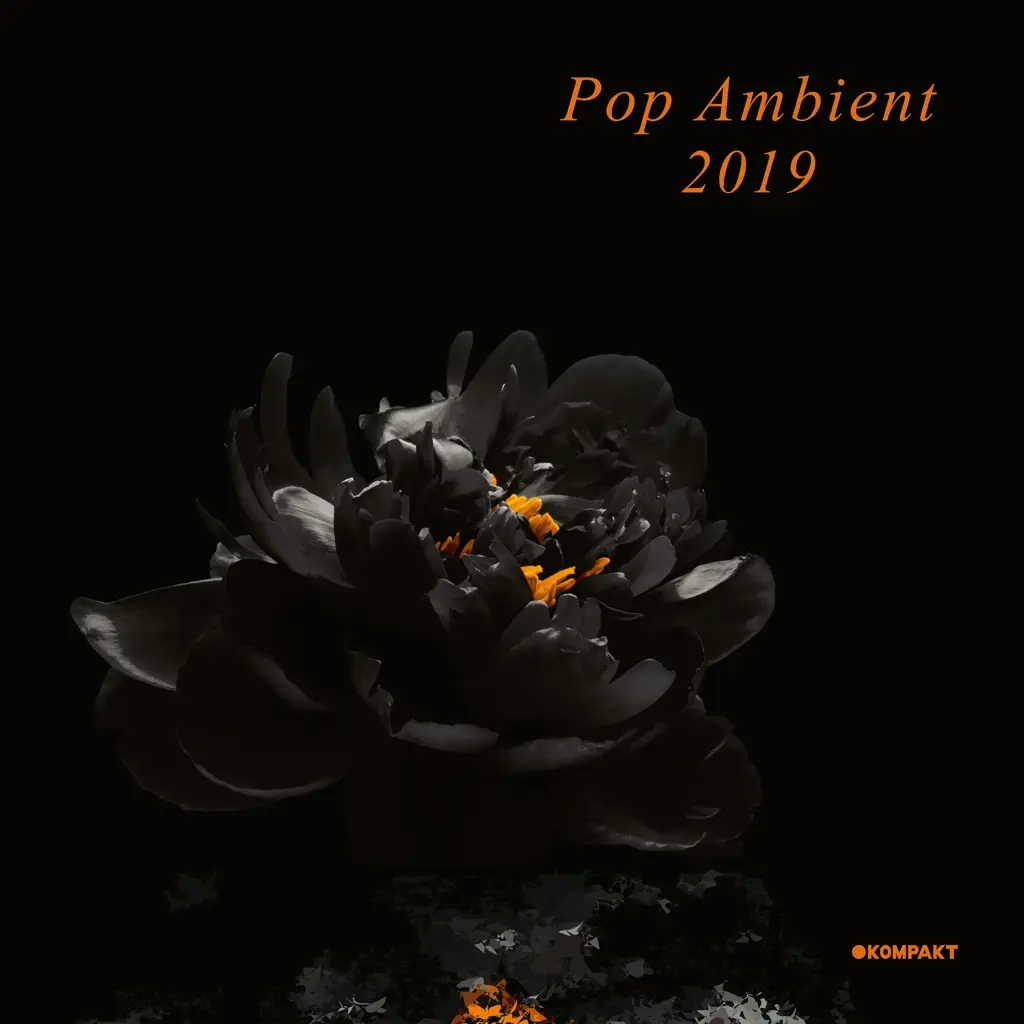 Album artwork for Pop Ambient 2019 by Various Artists