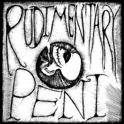 Album artwork for Rudimentary Peni by Rudimentary Peni