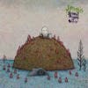 Album artwork for Several Shades Of Why by J Mascis