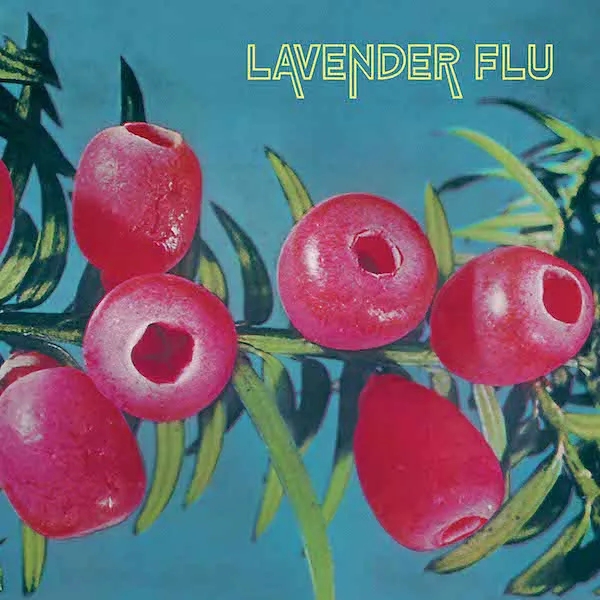Album artwork for Mow the Glass by The Lavender Flu