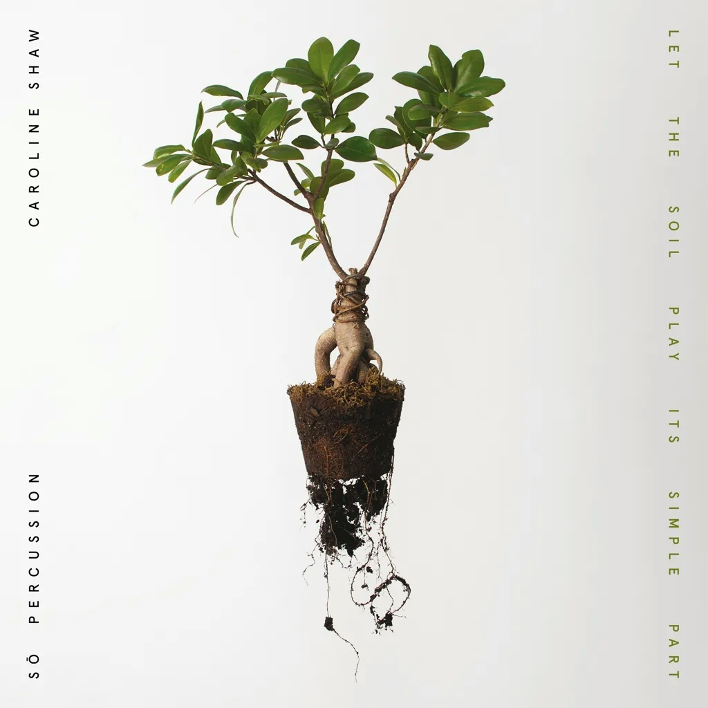 Album artwork for Let the Soil Play Its Simple Part by Caroline Shaw