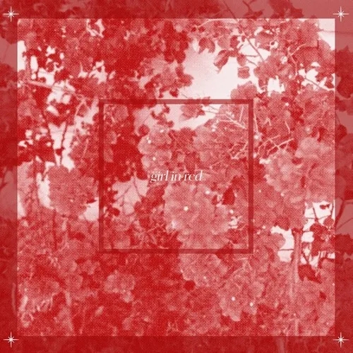 Album artwork for Beginnings by Girl in Red