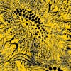 Album artwork for Little Sunflower by Amanda Whiting