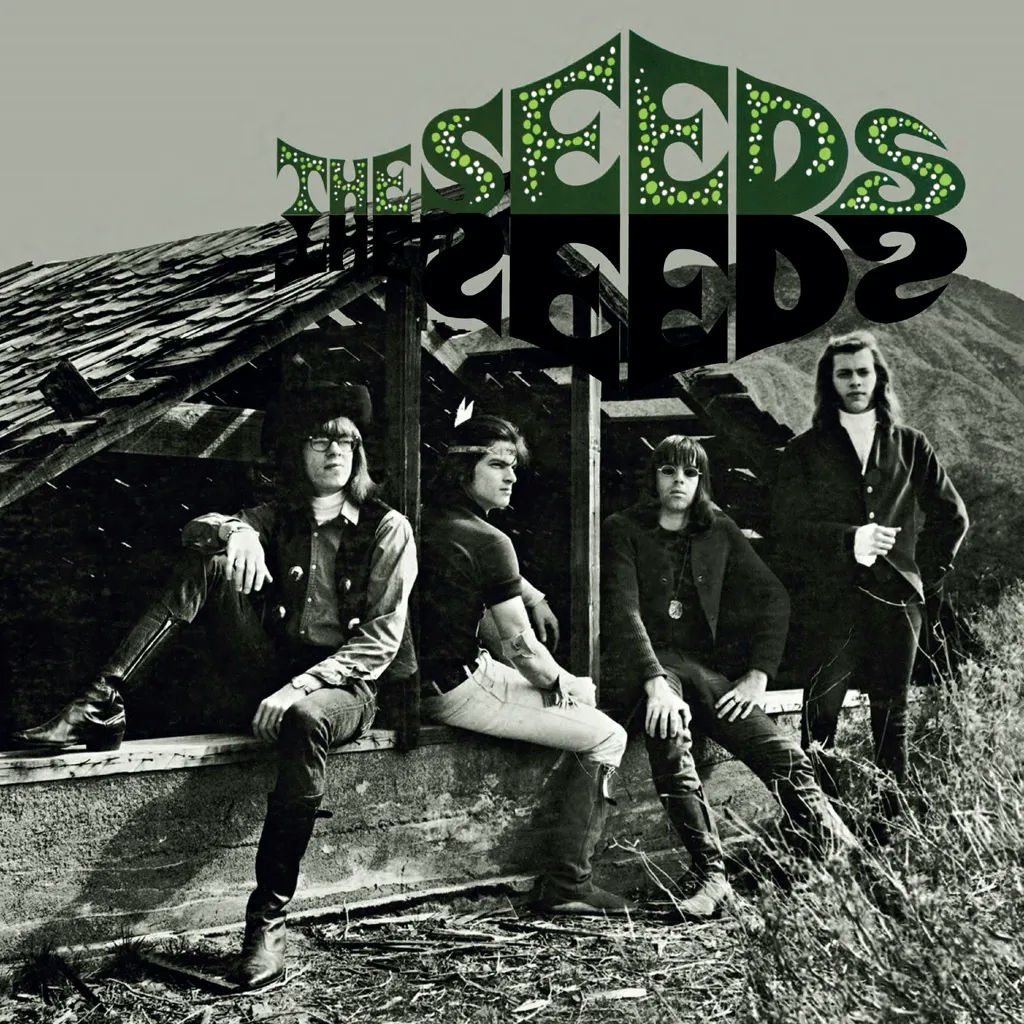 Album artwork for The Seeds (Deluxe) by The Seeds