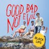Album artwork for Good Bad Not Evil by Black Lips