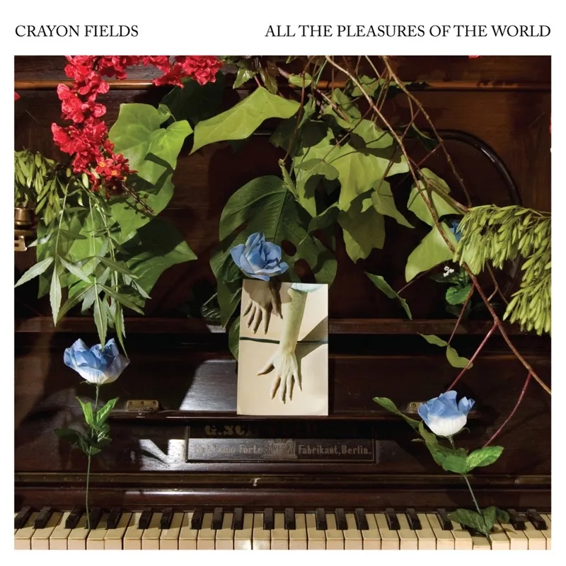 Album artwork for All the Pleasures Of the World by Crayon Fields