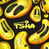 Album artwork for fabric presents TSHA by TSHA