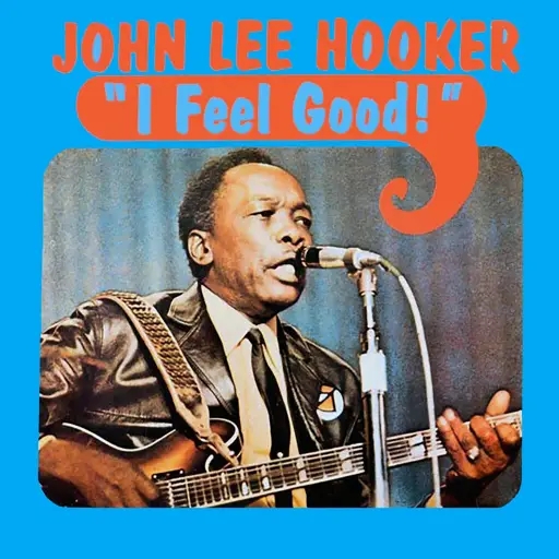 Album artwork for I Feel Good by John Lee Hooker
