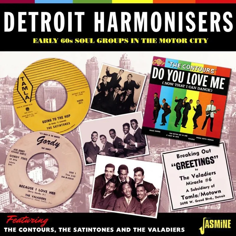 Album artwork for Detroit Harmonisers - Early 60s Soul Groups in the Motor City by Various