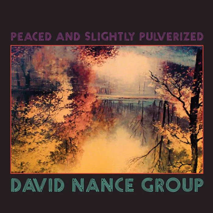 Album artwork for Peaced and Slightly Pulverized by David Nance Group