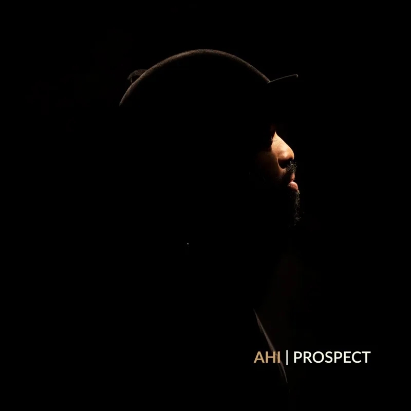 Album artwork for Prospect by AHI