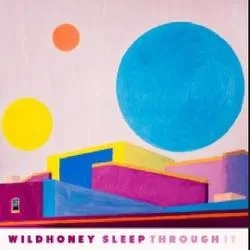 Album artwork for Sleep Through It by Wildhoney
