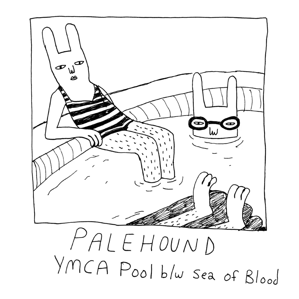 Album artwork for Ymca Pool by Palehound