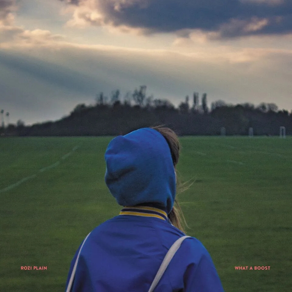Album artwork for What a Boost by Rozi Plain