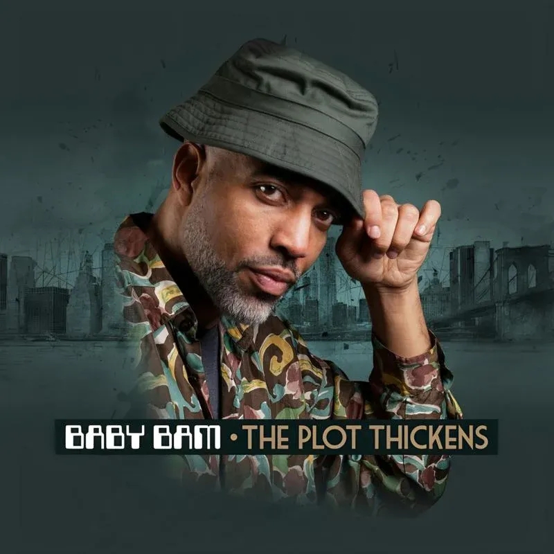 Album artwork for The Plot Thickens by Baby Bam