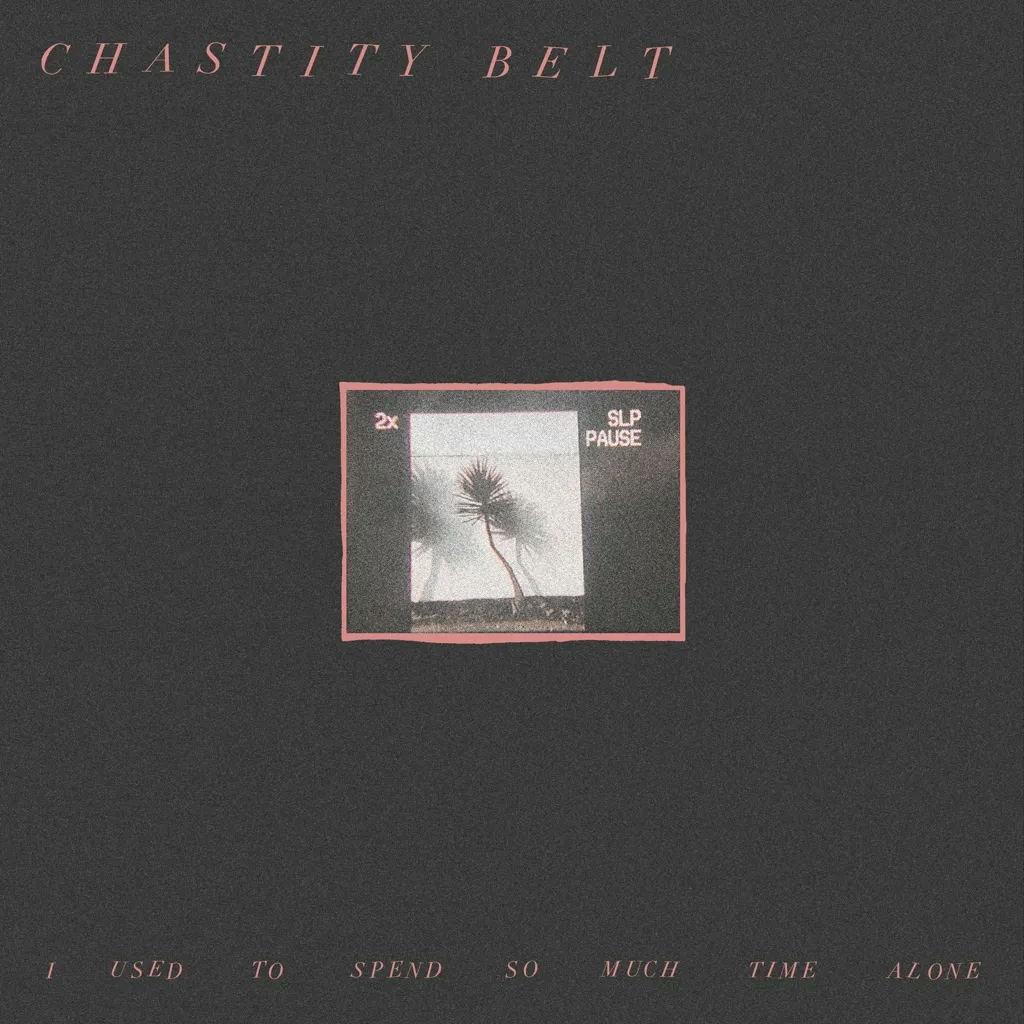 Album artwork for I Used To Spend So Much Time Alone by Chastity Belt