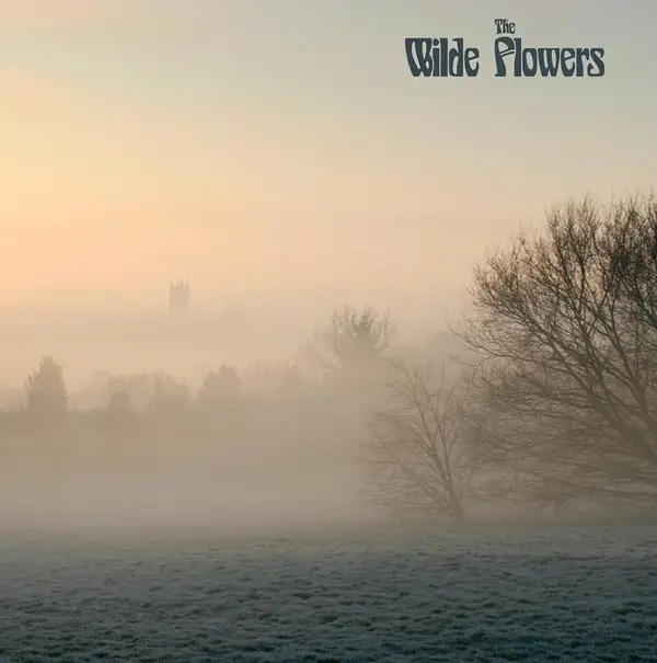 Album artwork for Wilde Flowers by Wilde Flowers