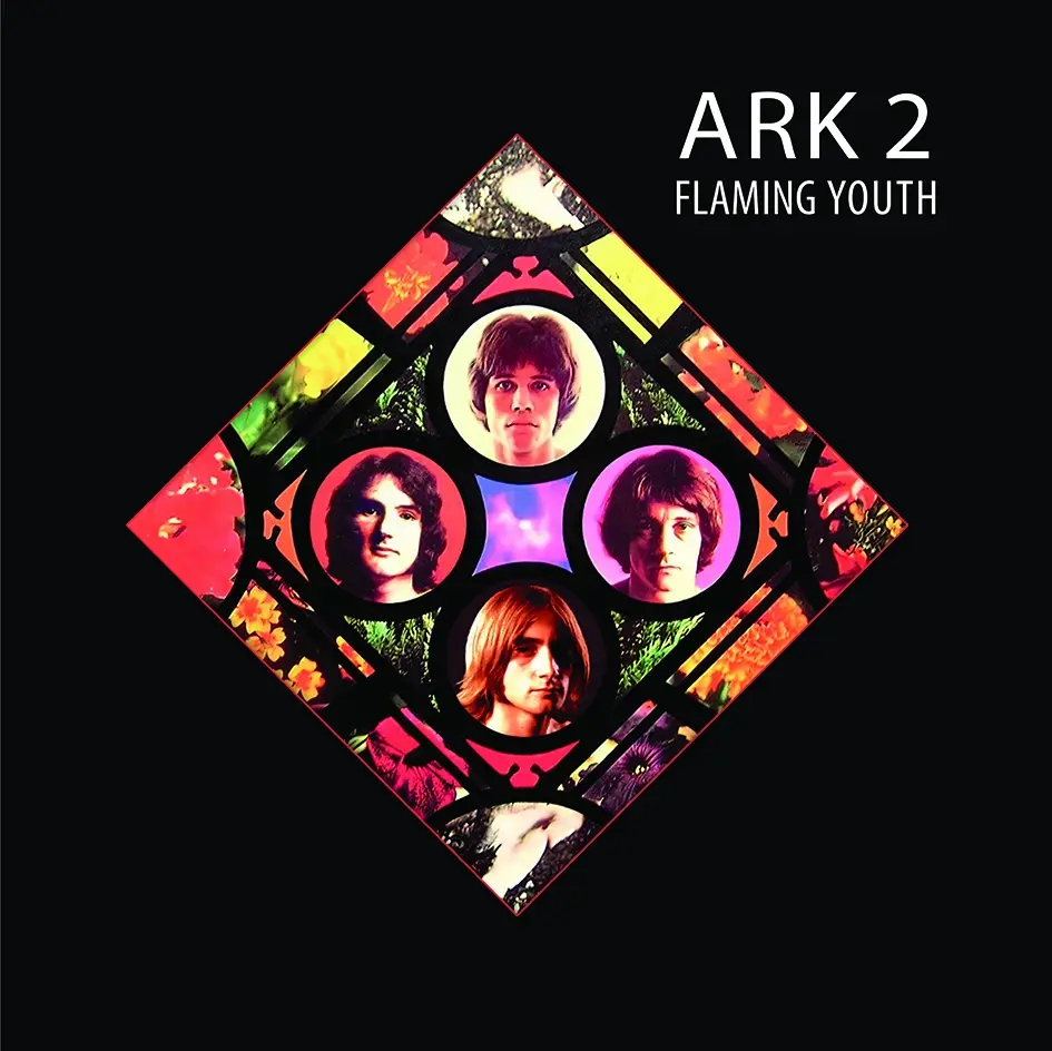 Album artwork for Ark 2 by Flaming Youth