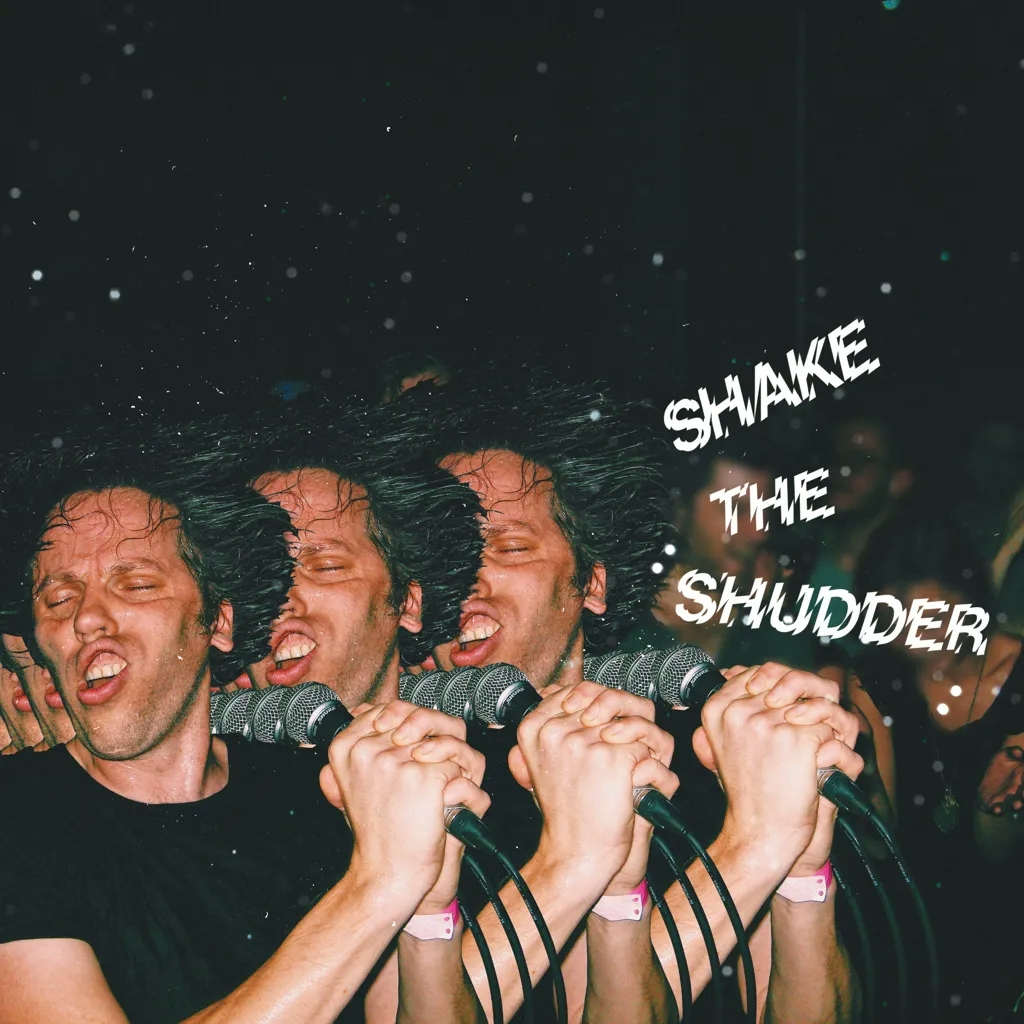 Album artwork for Shake The Shudder by !!! Chk Chk Chk