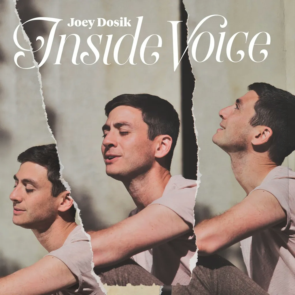 Album artwork for Inside Voice by Joey Dosik