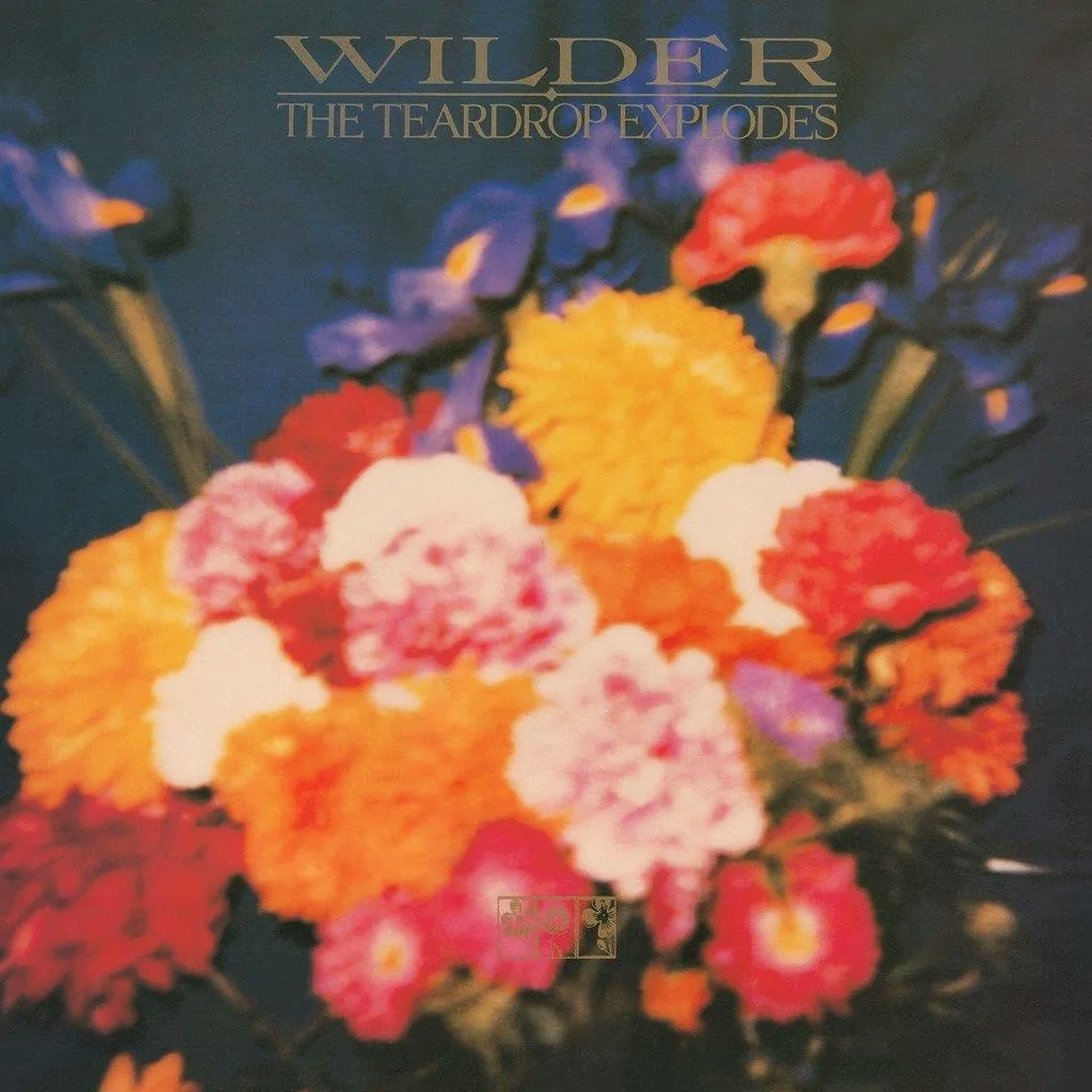 Album artwork for Wilder by The Teardrop Explodes