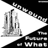 Album artwork for The Future Of What by Unwound