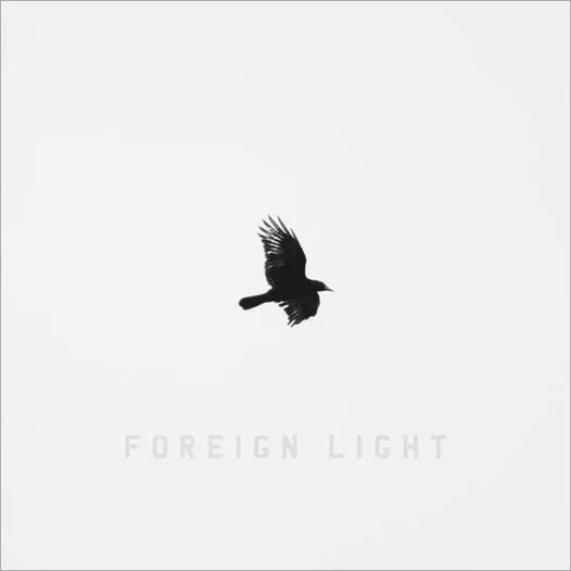 Album artwork for Foreign Light by Toddla T