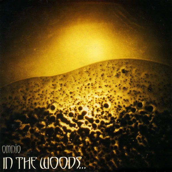Album artwork for Album artwork for Omnio by In The Woods... by Omnio - In The Woods...