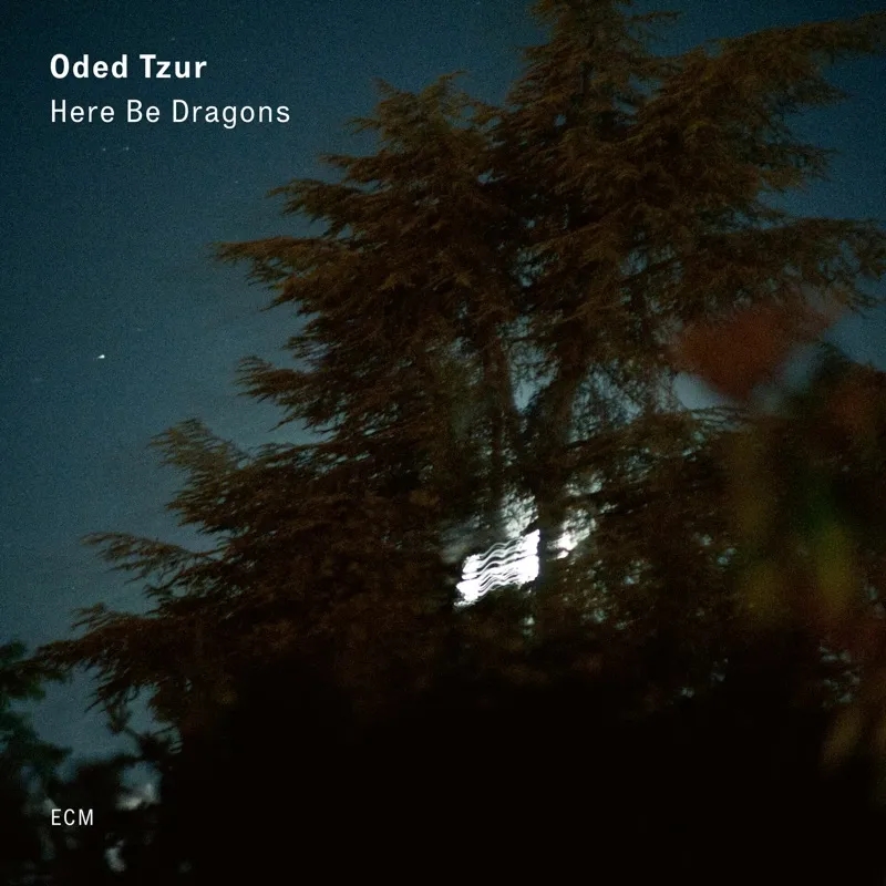 Album artwork for Here Be Dragons by Oded Tzur