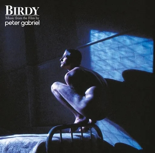 Album artwork for Birdy by Peter Gabriel