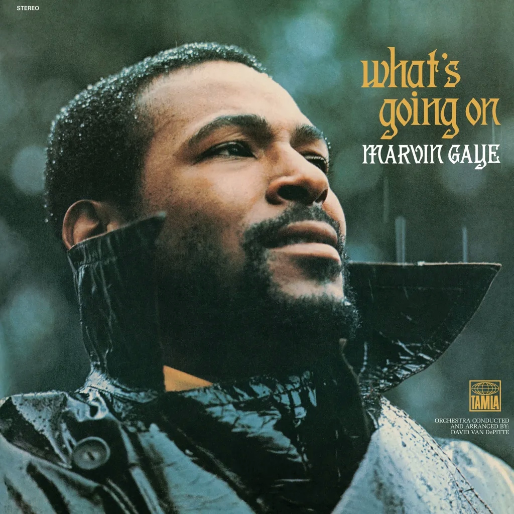 Album artwork for What's Going On CD by Marvin Gaye